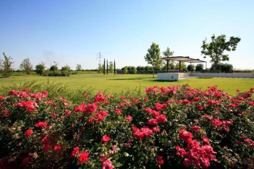 Country House Letizia Verona Exterior photo